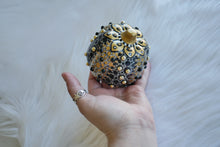 Load image into Gallery viewer, The Midnight Pumpkin