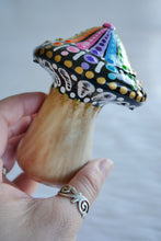 Load image into Gallery viewer, Rainbow Psychedelic Mushroom