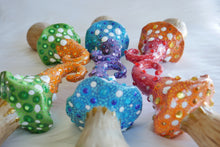Load image into Gallery viewer, Twisted Psychedelic Mushrooms