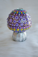 Load image into Gallery viewer, Galaxy Psychedelic Mushrooms