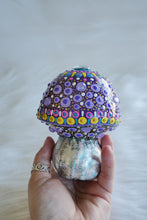 Load image into Gallery viewer, Galaxy Psychedelic Mushrooms