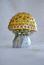 Load image into Gallery viewer, Galaxy Psychedelic Mushrooms