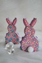 Load image into Gallery viewer, Psychedelic Peep Bunnies