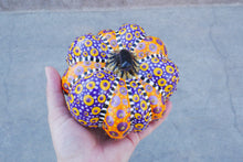 Load image into Gallery viewer, The Witch&#39;s Pumpkin
